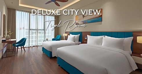 Deluxe Triple City View